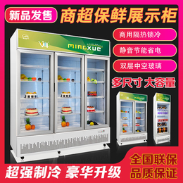 水果展示柜子商用冷藏茶叶冰柜立式保鲜柜双门啤酒饮品柜鲜花冰箱缩略图