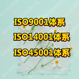 山东潍坊德丰壹佰 ISO45001体系 职业健康安全管理体系