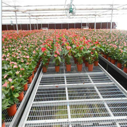天水温室种植使用热镀锌移动苗床的规格