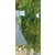 文登耐力板遮阳棚 文登耐力板寿命 耐力板供应商缩略图2