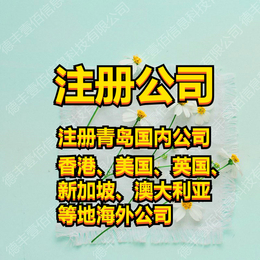 山东潍坊德丰壹佰 注册公司 青岛国内公司注册 海外公司注册