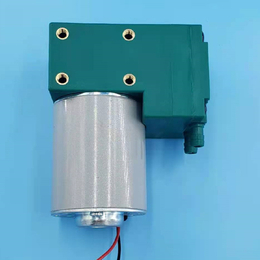微型电动隔膜泵和气动隔膜泵有哪些区别
