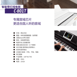 泉州佳德美智能数码电钢琴C-801T木纹款