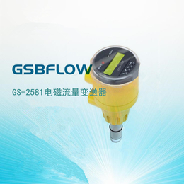 供应GSBFLOW智能型GS-2581插入式电磁流量计缩略图