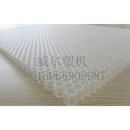 青岛威尔塑机(图)-蜂窝复合板设备生产厂家-蜂窝复合板