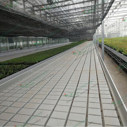 达州温室蔬菜种植使用潮汐式灌溉移动苗床的特点