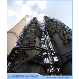 陕西脱硫塔生产厂家-氨法脱硫工程公司-明晟环保