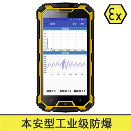 防爆型点检仪生产商-点检仪-青岛东方嘉仪