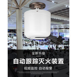 ZDMS0.6/20S型自动射流灭火系统消防灭火产品