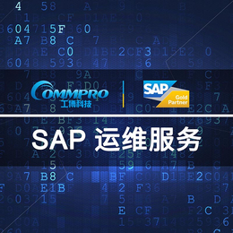 中山SAP本地服务公司 SAP全线ERP系统代理实施商