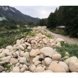 变压器河卵石供应-海南变压器河卵石-天正伟业厂家直接发货