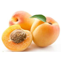 长沙农产品配送公司 湖南蔬永农产品 蔬永配送--黄桃