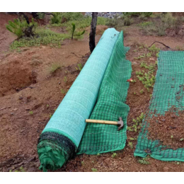 自带草籽生态毯 河道边坡绿化 秸秆植生毯 护坡边坡绿化
