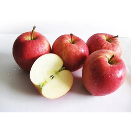 国内常见的苹果品种及青岛港苹果出口清关介绍