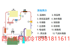 冻库制冷系统.jpg