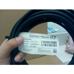 德国E+H恩德斯豪斯CYK10-A101数字电缆10米缩略图