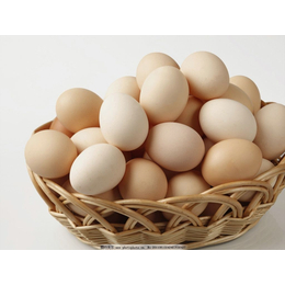 长沙生鲜配送公司 湖南蔬永农产品 蔬永配送-鸡蛋