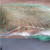 供应快速边坡绿化 椰丝纤维毯 加筋格栅防冲毯 生态植生毯缩略图4