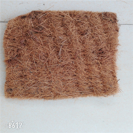 天然椰棕垫 棕垫生态浮床 椰棕过滤网 椰子纤维垫 麻椰垫护坡