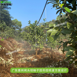 旋转喷头厂家 圣大节水生产果园温室蔬菜吊挂地插雾化喷头价格优缩略图