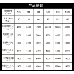 起重吊装带-吊装带-河北东圣吊索具(查看)