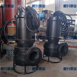 黑龙江大庆潜水渣浆泵价格 鲲升泵业生产销售 价格美丽