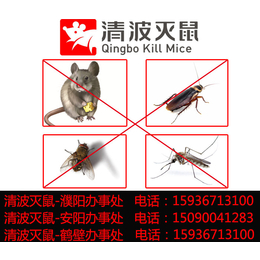家庭灭蚂蚁的方法-莘县灭蚂蚁-清波灭鼠公司