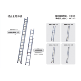 金锚铝合金伸缩梯两片延伸 AM42-212I 