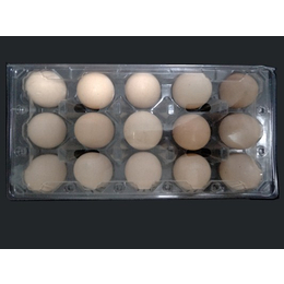鸡蛋包装-恒硕吸塑包装-鸡蛋包装厂家