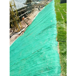 新品亳州 生态毯 加筋防冲毯 绿化毯 山体边坡治理绿化