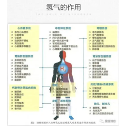 转型产品引流锁客产品健宜吸氢机