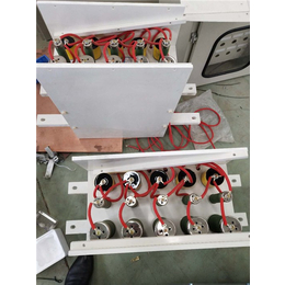 高压固态软启动器厂家-鄂动机电-青海高压固态软启动器