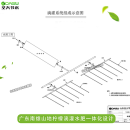 施肥机厂家 圣大节水提供济南东阳河苗圃竹子水肥一体化方案设计缩略图