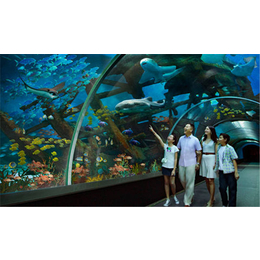 水族馆报价-上海郭家实业(在线咨询)-宁夏水族馆