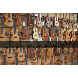 广州成与乐现代音乐中心尤克里里吉他专卖培训乐器店琴行
