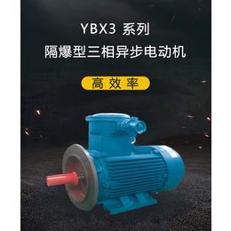 YBX3 系列隔爆型三相异步电动机