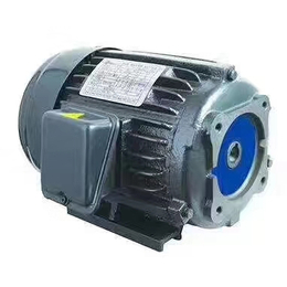 AEEF100L1-4液压马达2.2KW液压电机