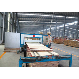 朝阳细木工板机械-山东海广板材设备-细木工板机械厂
