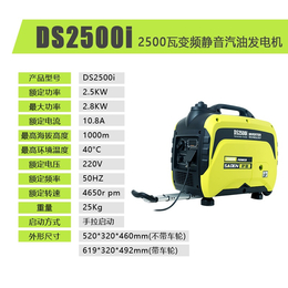 萨登DS2500i汽油发电机应急电源促销价格