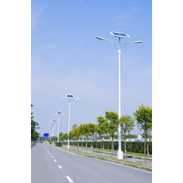 供应新农村建设6米60瓦LED太阳能路灯