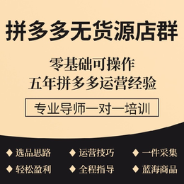 拼多多店群软件 淘上拼拼上拼突破加价自动采集上货拍单软件代理