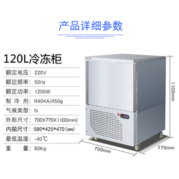 浩博速冻柜 商用海鲜水饺油条低温冷冻冰柜 急冻冷柜