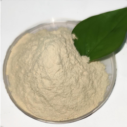多肽氨基酸80 酶解氨基酸粉肥料 有机叶面肥 出口品质