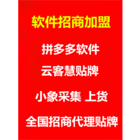 拼多多店群软件  店群精细化运营   支持实地考察