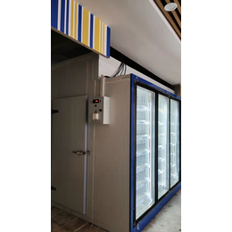 郑州商用大容量饮料柜步入式冰柜多功能后补式冷库