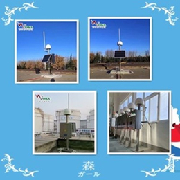 炼油厂蜂窝状雷电预警系统 气化厂智慧雷电预测系统