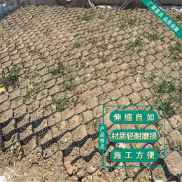 压纹植草护坡三维约束系统1.5厚防雨水冲刷塑料片材土工格室