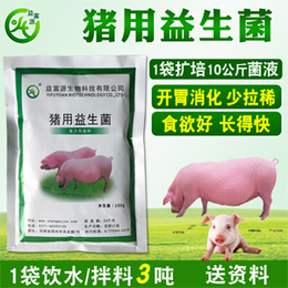 豬用益生菌益富源大小豬營養液母豬肉豬益生素酵素酶