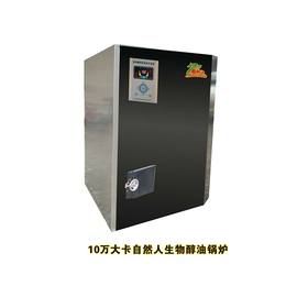 郴州自然人(图)-大型生物质锅炉品牌-湖北省生物质锅炉品牌