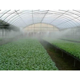 大棚农业加湿保湿大棚降温蔬菜加湿大棚保湿观光农业加湿